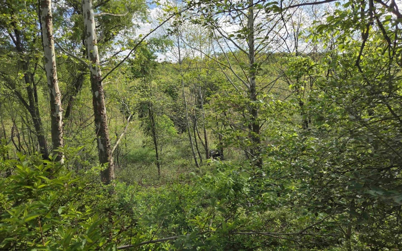 TBD Dupont Road, Westover, West Virginia 26501, ,Lots/land,For Sale,Dupont,10164909