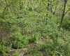 TBD Dupont Road, Westover, West Virginia 26501, ,Lots/land,For Sale,Dupont,10164909