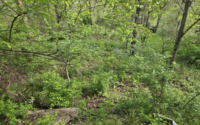 TBD Dupont Road, Westover, West Virginia 26501, ,Lots/land,For Sale,Dupont,10164909