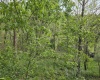 TBD Dupont Road, Westover, West Virginia 26501, ,Lots/land,For Sale,Dupont,10164909
