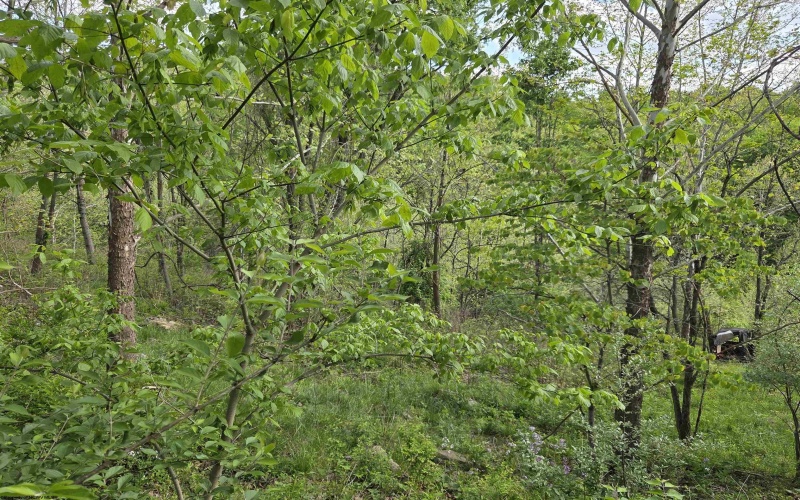 TBD Dupont Road, Westover, West Virginia 26501, ,Lots/land,For Sale,Dupont,10164909