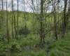 TBD Dupont Road, Westover, West Virginia 26501, ,Lots/land,For Sale,Dupont,10164909