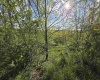 TBD Dupont Road, Westover, West Virginia 26501, ,Lots/land,For Sale,Dupont,10164909