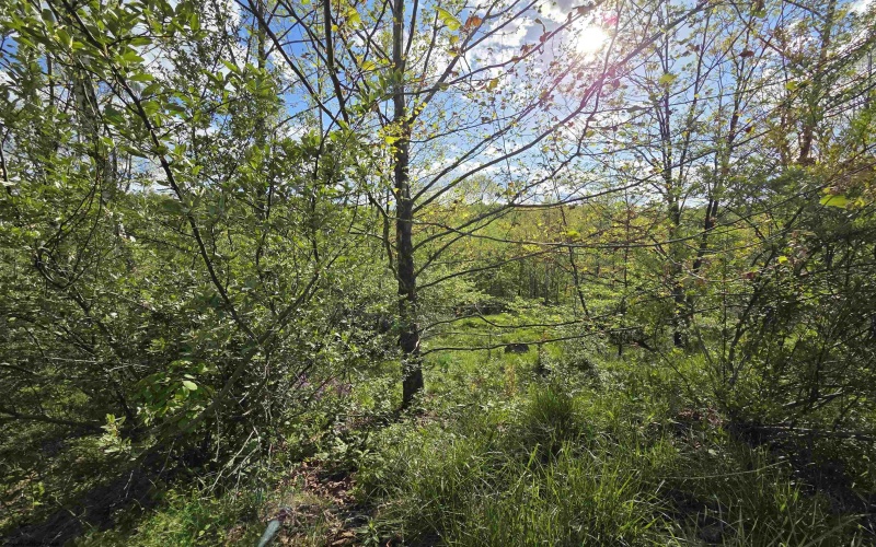 TBD Dupont Road, Westover, West Virginia 26501, ,Lots/land,For Sale,Dupont,10164909