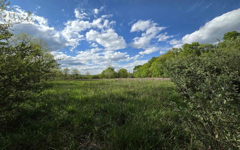 TBD Dupont Road, Westover, West Virginia 26501, ,Lots/land,For Sale,Dupont,10164909