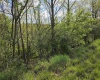 TBD Dupont Road, Westover, West Virginia 26501, ,Lots/land,For Sale,Dupont,10164909