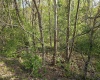 TBD Dupont Road, Westover, West Virginia 26501, ,Lots/land,For Sale,Dupont,10164909