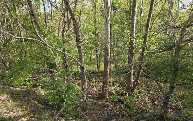 TBD Dupont Road, Westover, West Virginia 26501, ,Lots/land,For Sale,Dupont,10164909