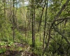 TBD Dupont Road, Westover, West Virginia 26501, ,Lots/land,For Sale,Dupont,10164909