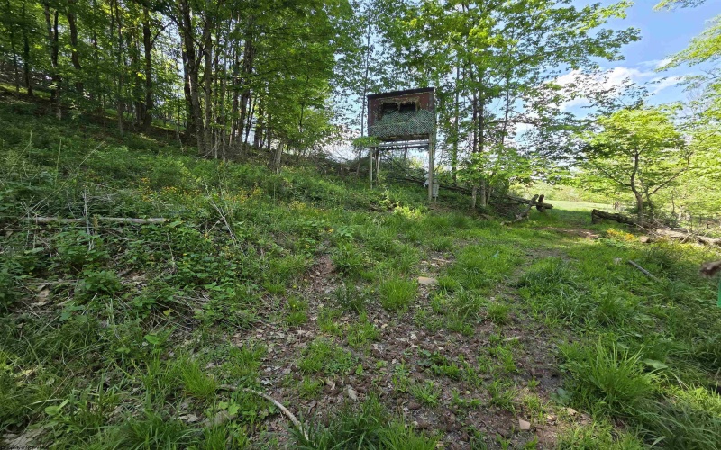 283 Haines Knob Road, Harman, West Virginia 26296, 2 Bedrooms Bedrooms, 4 Rooms Rooms,2 BathroomsBathrooms,Single Family Detached,For Sale,Haines Knob,10164929