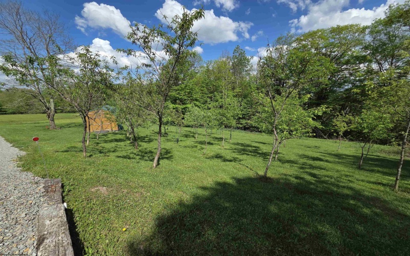283 Haines Knob Road, Harman, West Virginia 26296, 2 Bedrooms Bedrooms, 4 Rooms Rooms,2 BathroomsBathrooms,Single Family Detached,For Sale,Haines Knob,10164929