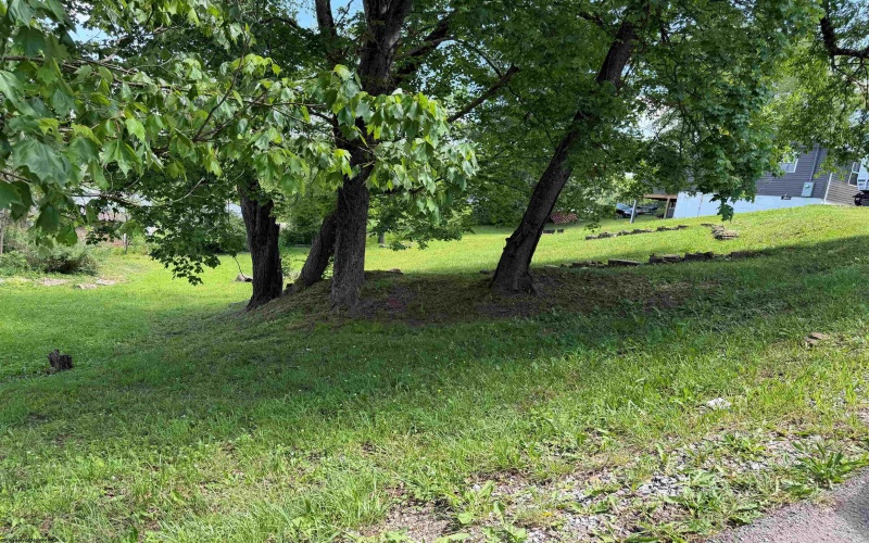 TBD Second Street, Belington, West Virginia 26250, ,Lots/land,For Sale,Second,10164950 TBD Second Street, Belington, West Virginia 26250, ,Lots/land,For Sale,Second,10164950