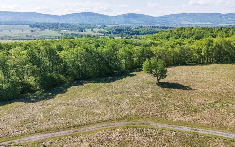 Lot 7 High Meadow Drive, Davis, West Virginia 26260, ,Lots/land,For Sale,High Meadow,10164945 Lot 7 High Meadow Drive, Davis, West Virginia 26260, ,Lots/land,For Sale,High Meadow,10164945