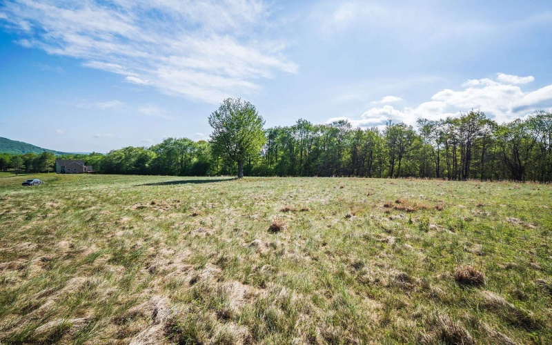 Lot 7 High Meadow Drive, Davis, West Virginia 26260, ,Lots/land,For Sale,High Meadow,10164945 Lot 7 High Meadow Drive, Davis, West Virginia 26260, ,Lots/land,For Sale,High Meadow,10164945