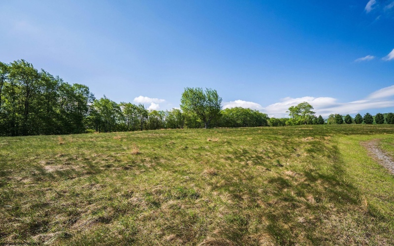 Lot 7 High Meadow Drive, Davis, West Virginia 26260, ,Lots/land,For Sale,High Meadow,10164945 Lot 7 High Meadow Drive, Davis, West Virginia 26260, ,Lots/land,For Sale,High Meadow,10164945
