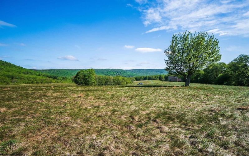 Lot 7 High Meadow Drive, Davis, West Virginia 26260, ,Lots/land,For Sale,High Meadow,10164945 Lot 7 High Meadow Drive, Davis, West Virginia 26260, ,Lots/land,For Sale,High Meadow,10164945