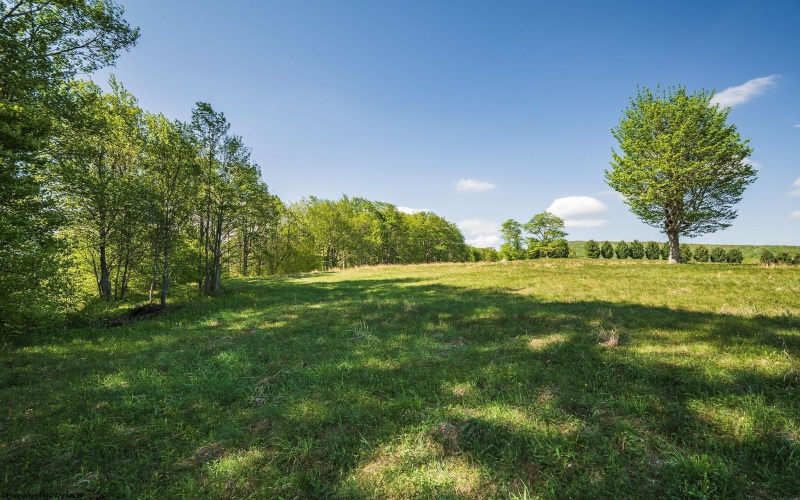 Lot 7 High Meadow Drive, Davis, West Virginia 26260, ,Lots/land,For Sale,High Meadow,10164945 Lot 7 High Meadow Drive, Davis, West Virginia 26260, ,Lots/land,For Sale,High Meadow,10164945