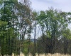 Lot 7 High Meadow Drive, Davis, West Virginia 26260, ,Lots/land,For Sale,High Meadow,10164945 Lot 7 High Meadow Drive, Davis, West Virginia 26260, ,Lots/land,For Sale,High Meadow,10164945