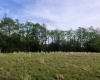 Lot 7 High Meadow Drive, Davis, West Virginia 26260, ,Lots/land,For Sale,High Meadow,10164945 Lot 7 High Meadow Drive, Davis, West Virginia 26260, ,Lots/land,For Sale,High Meadow,10164945