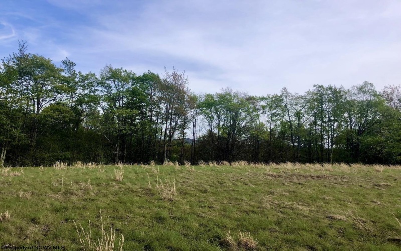 Lot 7 High Meadow Drive, Davis, West Virginia 26260, ,Lots/land,For Sale,High Meadow,10164945 Lot 7 High Meadow Drive, Davis, West Virginia 26260, ,Lots/land,For Sale,High Meadow,10164945