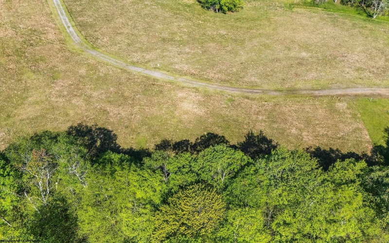 Lot 7 High Meadow Drive, Davis, West Virginia 26260, ,Lots/land,For Sale,High Meadow,10164945 Lot 7 High Meadow Drive, Davis, West Virginia 26260, ,Lots/land,For Sale,High Meadow,10164945