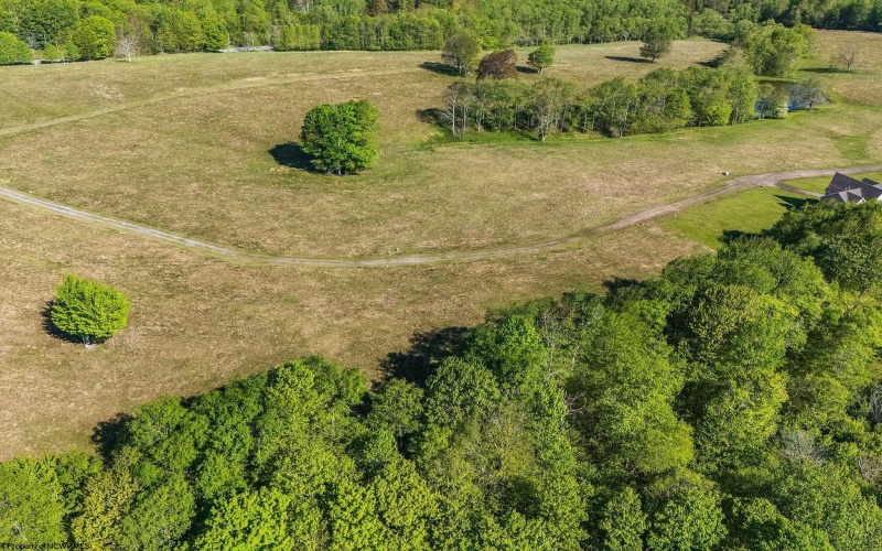Lot 7 High Meadow Drive, Davis, West Virginia 26260, ,Lots/land,For Sale,High Meadow,10164945 Lot 7 High Meadow Drive, Davis, West Virginia 26260, ,Lots/land,For Sale,High Meadow,10164945