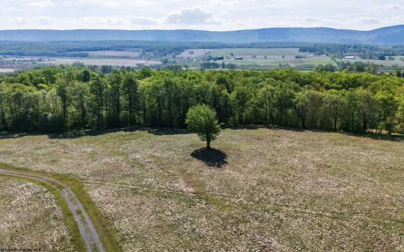 Lot 7 High Meadow Drive, Davis, West Virginia 26260, ,Lots/land,For Sale,High Meadow,10164945 Lot 7 High Meadow Drive, Davis, West Virginia 26260, ,Lots/land,For Sale,High Meadow,10164945