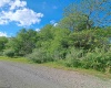 TBD Hudson Mill Road, Albright, West Virginia 26519, ,Lots/land,For Sale,Hudson Mill,10164936