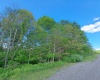 TBD Hudson Mill Road, Albright, West Virginia 26519, ,Lots/land,For Sale,Hudson Mill,10164936