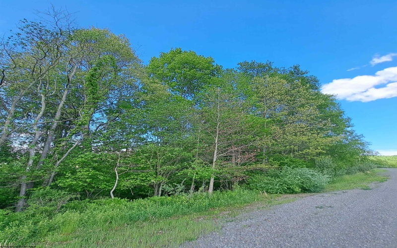 TBD Hudson Mill Road, Albright, West Virginia 26519, ,Lots/land,For Sale,Hudson Mill,10164936