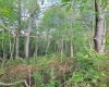 TBD Hudson Mill Road, Albright, West Virginia 26519, ,Lots/land,For Sale,Hudson Mill,10164936