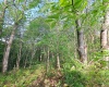 TBD Hudson Mill Road, Albright, West Virginia 26519, ,Lots/land,For Sale,Hudson Mill,10164936