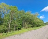TBD Hudson Mill Road, Albright, West Virginia 26519, ,Lots/land,For Sale,Hudson Mill,10164936