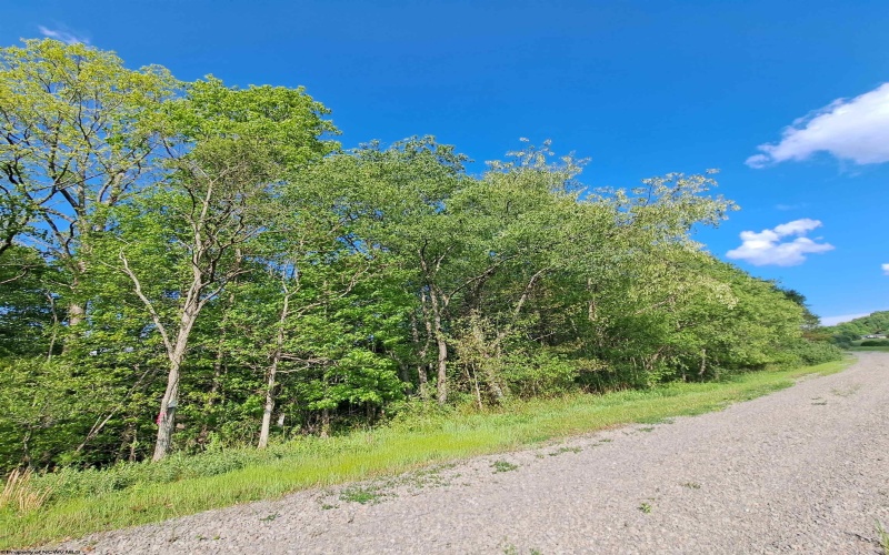 TBD Hudson Mill Road, Albright, West Virginia 26519, ,Lots/land,For Sale,Hudson Mill,10164936