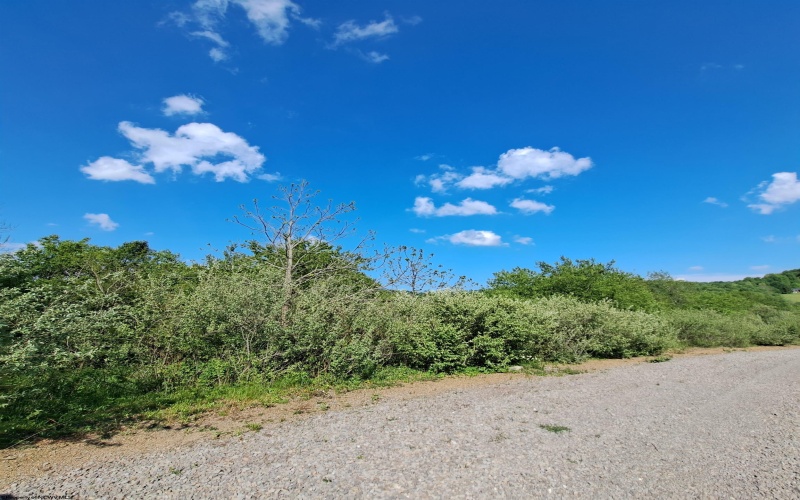 TBD Hudson Mill Road, Albright, West Virginia 26519, ,Lots/land,For Sale,Hudson Mill,10164936
