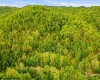 TBD Rock Camp Road, Wallace, West Virginia 26448, ,Lots/land,For Sale,Rock Camp,10164944