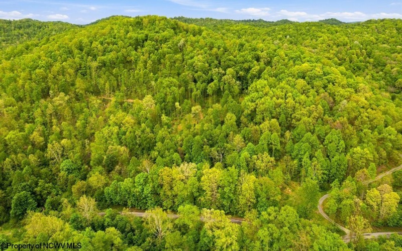 TBD Rock Camp Road, Wallace, West Virginia 26448, ,Lots/land,For Sale,Rock Camp,10164944