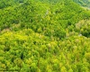 TBD Rock Camp Road, Wallace, West Virginia 26448, ,Lots/land,For Sale,Rock Camp,10164944