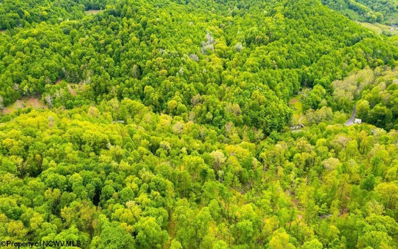 TBD Rock Camp Road, Wallace, West Virginia 26448, ,Lots/land,For Sale,Rock Camp,10164944
