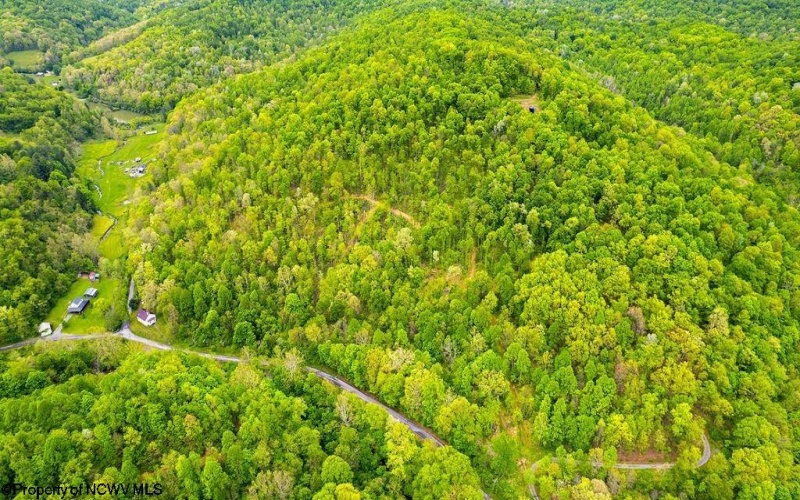 TBD Rock Camp Road, Wallace, West Virginia 26448, ,Lots/land,For Sale,Rock Camp,10164944