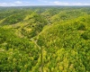 TBD Rock Camp Road, Wallace, West Virginia 26448, ,Lots/land,For Sale,Rock Camp,10164944