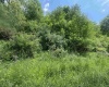 TBD Rock Camp Road, Wallace, West Virginia 26448, ,Lots/land,For Sale,Rock Camp,10164944