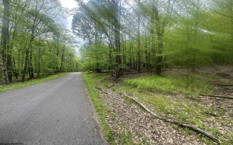 Lot 197 Woodbine Drive, Terra Alta, West Virginia 26764, ,Lots/land,For Sale,Woodbine,10164983