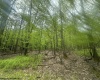 Lot 197 Woodbine Drive, Terra Alta, West Virginia 26764, ,Lots/land,For Sale,Woodbine,10164983