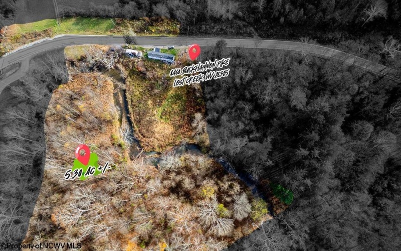 8460 Buckhannon Pike, Lost Creek, West Virginia 26385, ,Lots/land,For Sale,Buckhannon,10164972
