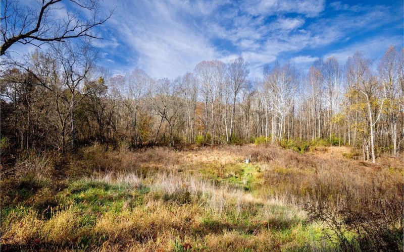 8460 Buckhannon Pike, Lost Creek, West Virginia 26385, ,Lots/land,For Sale,Buckhannon,10164972