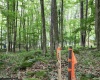 Lots 153-154 Clover Drive, Terra Alta, West Virginia 26764, ,Lots/land,For Sale,Clover,10164981