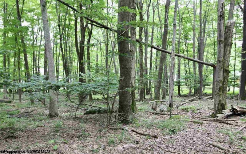 Lots 153-154 Clover Drive, Terra Alta, West Virginia 26764, ,Lots/land,For Sale,Clover,10164981