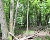 Lots 153-154 Clover Drive, Terra Alta, West Virginia 26764, ,Lots/land,For Sale,Clover,10164981
