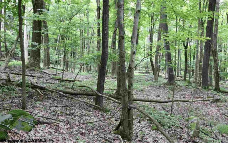 Lots 153-154 Clover Drive, Terra Alta, West Virginia 26764, ,Lots/land,For Sale,Clover,10164981